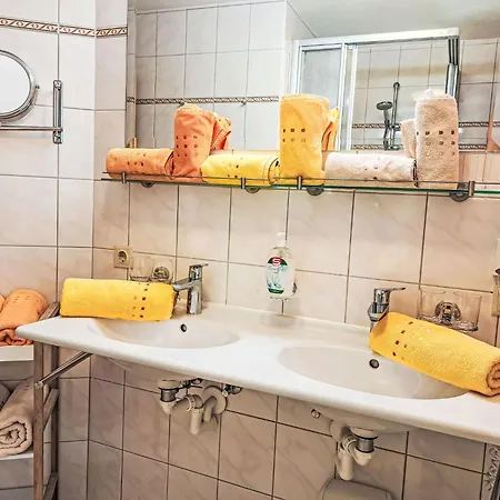 Appartement Rosa-3 By Interhome Mayrhofen