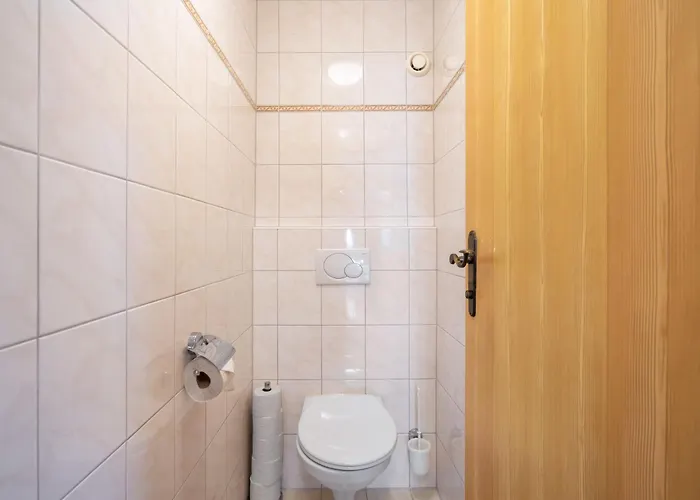 Apartamento Rosa-3 By Interhome Mayrhofen